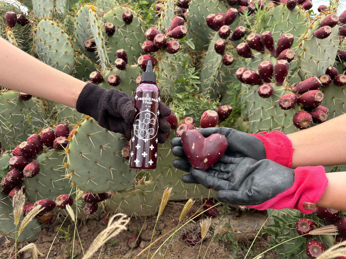 Prickly Pear Syrup 8 oz